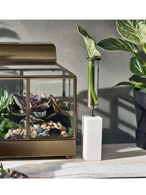 Hilton Carter X Target Propagation Vessel